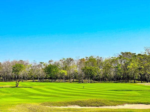 สนามกอล์ฟ กบินทร์บุรี สปอร์ตคลับ Kbsc nature grass and golf course