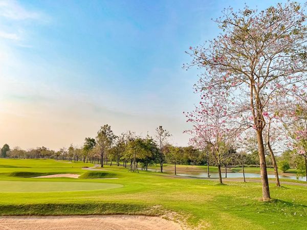 สนามกอล์ฟ กบินทร์บุรี สปอร์ตคลับ Kbsc grass nature and golf course