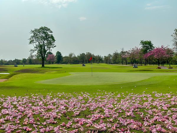 สนามกอล์ฟ กบินทร์บุรี สปอร์ตคลับ Kbsc nature grass and golf course