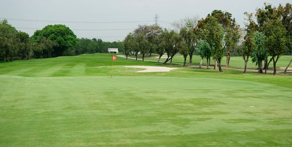 Northern Rangsit Golf Club golf course grass and nature