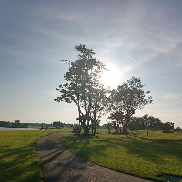 Bangpakong Riverside Country Club 1 person nature tree grass and golf course