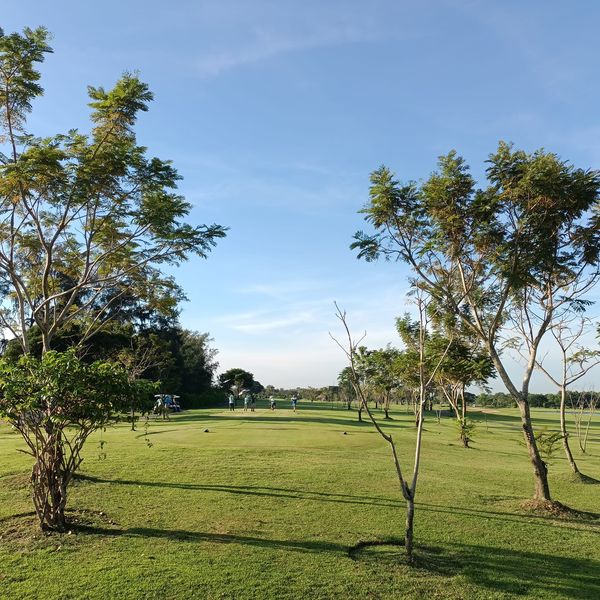 Bangpakong Riverside Country Club 2 people tree sky nature and grass