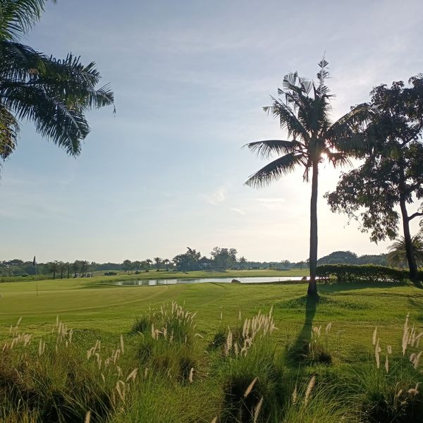 Bangpakong Riverside Country Club grass sky nature and tree