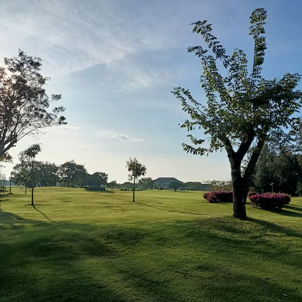 Bangpakong Riverside Country Club sky nature golf course tree and grass