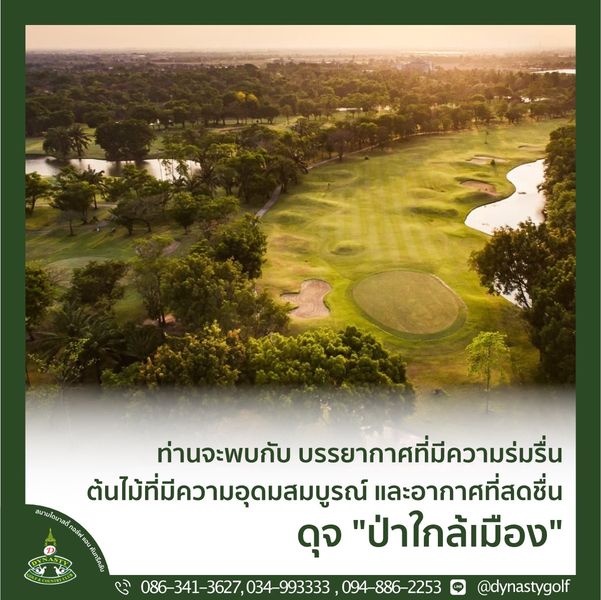 สนามกอล์ฟไดนาสตี้ แอนด์ คันทรีคลับ Dynasty Golf amp Country Club golf course tree grass and ท่านจะพบกับ ท่านจ บรรยากาศที่มีความร่มรื่น ต้นไม้ที่มีความอุดมสมบูรณ์ และอากาศที่สดชื่น ดุจ ป่าใกล้เมือง ือง 086 341 3627 034 993333 094 886 2253 dynastygolf