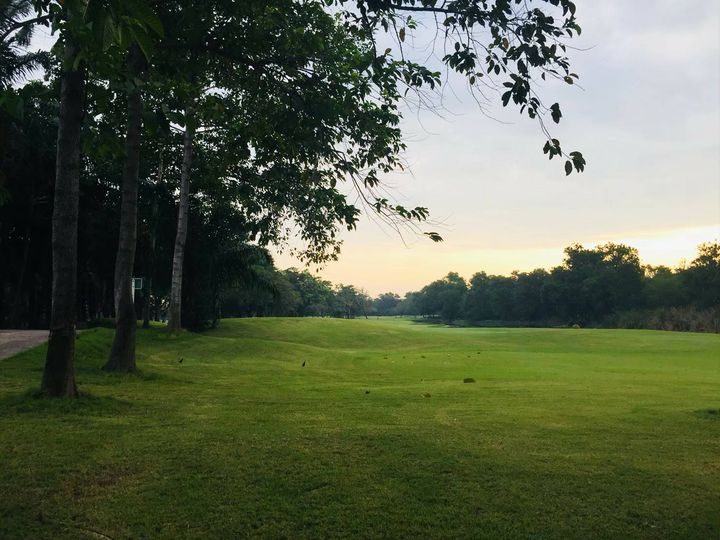 สนามกอล์ฟไดนาสตี้ แอนด์ คันทรีคลับ Dynasty Golf amp Country Club grass tree nature and golf course