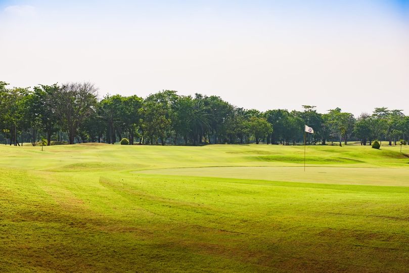 สนามกอล์ฟไดนาสตี้ แอนด์ คันทรีคลับ Dynasty Golf amp Country Club grass golf course and nature