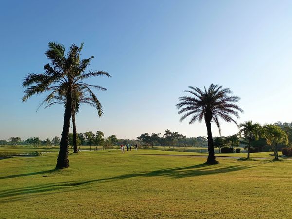 Bangpakong Riverside Country Club 4 people nature grass golf course sky and palm trees