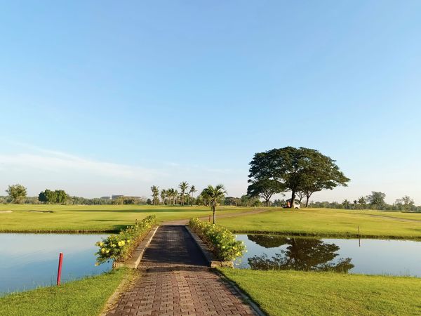 Bangpakong Riverside Country Club grass nature tree and golf course