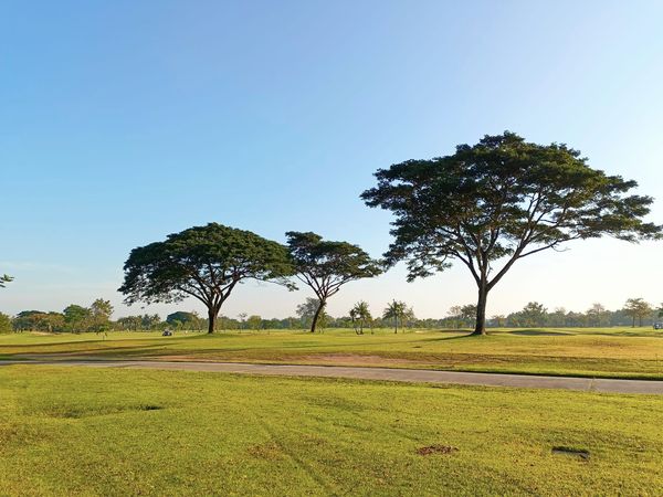 Bangpakong Riverside Country Club sky tree golf course grass and nature