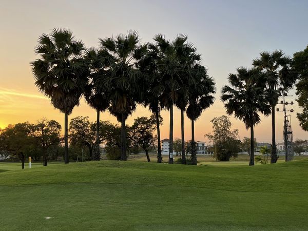 Summit Windmill Golf Club nbsp 1 person golf course grass and twilight