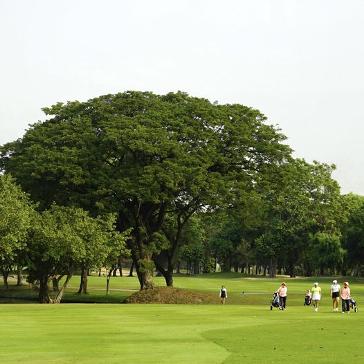 Bangkok Golf Club nbsp 6 people people golfing and golf course