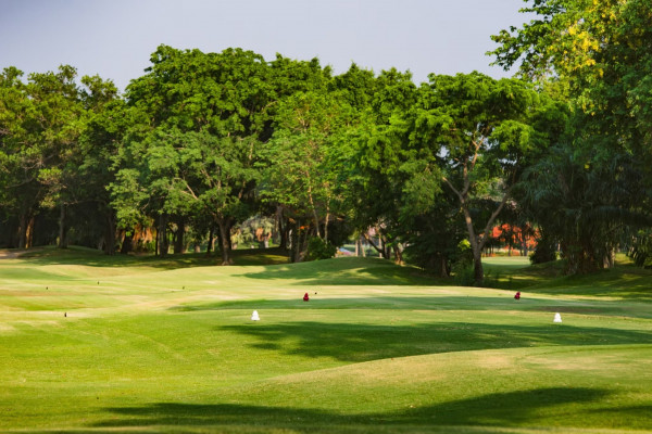 สนามกอล์ฟไดนาสตี้ แอนด์ คันทรีคลับ Dynasty Golf amp Country Club nbsp golf golf cart and golf course