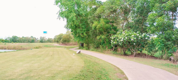 สนามกอล์ฟ 331 Golf Club nbsp golf frisbee grass and golf course