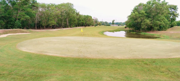 สนามกอล์ฟ 331 Golf Club nbsp golf grass and golf course