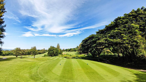 Banyan Golf Club Hua Hin grass nature and golf course