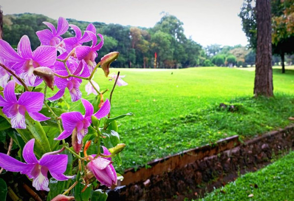 Royal Hua Hin Golf Course flower and nature