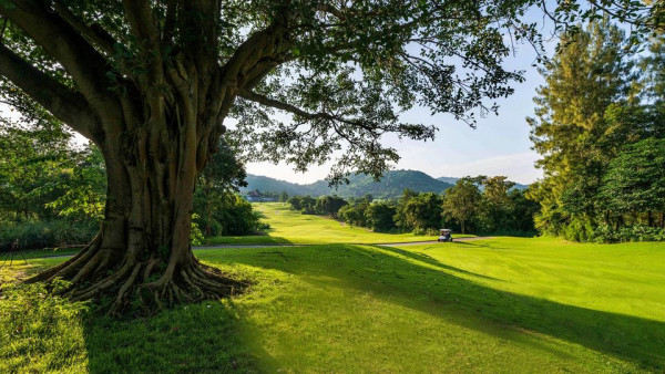 Banyan Golf Club Hua Hin golf course grass tree and nature