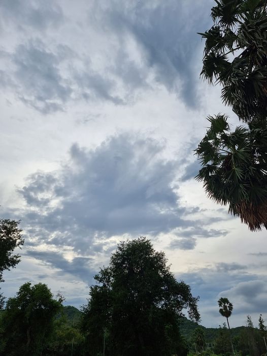 Hua Hin Korea Golf Club amp Milpordparadise Hotel tree cloud horizon and text