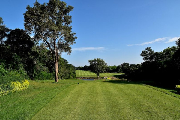 Panoramagolfclub golf golf cart grass and golf course