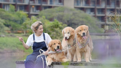 Our first furry guests  ขอบคุณเจได ใจดี จุ๊มเหม่ง มาเปิดประสบการณ์เข้าพักที่โซน Dog Friendly ในโรงแรม Kirimaya ของเรา