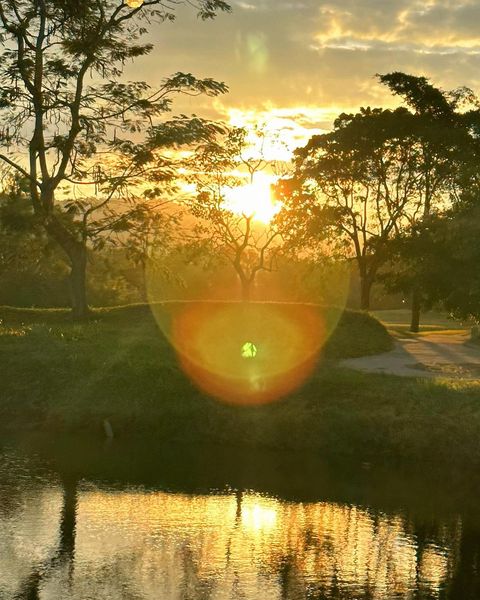 Kirimaya Khao Yai twilight tree and nature