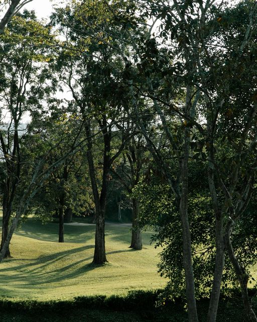 Kirimaya Khao Yai nbsp fog tree grass and golf course