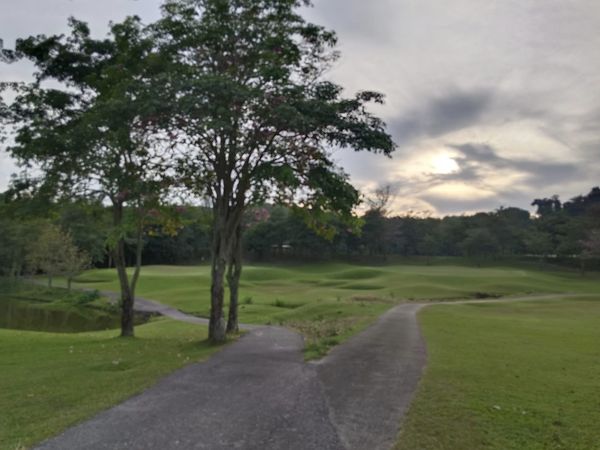 Wangjuntr Golf Park grass golf course nature and tree