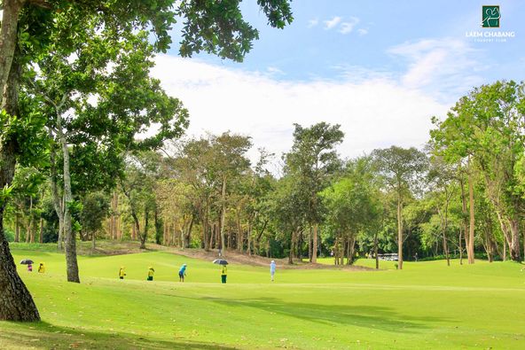 Laem Chabang International Country Club 3 people nature and grass