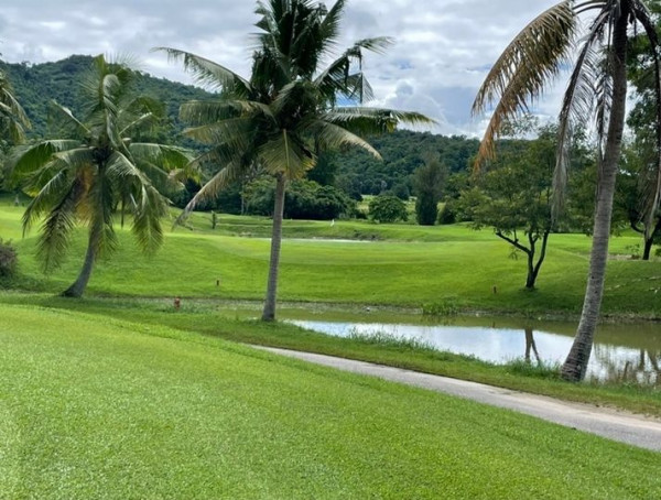 The Emerald Golf Club 2020 golf course palm trees nature and grass