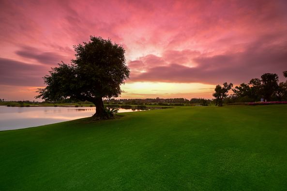 Siam Country Club tree golf course twilight and nature