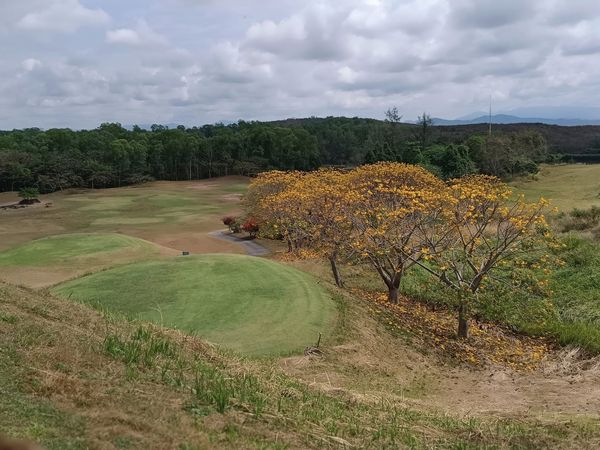 Wangjuntr Golf Park nature and tree