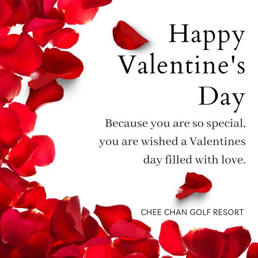 Chee Chan Golf one or more people rose and Happy Valentine s Day Because you are so special you are wished a Valentines day filled with love CHEE CHAN GOLF RESORT