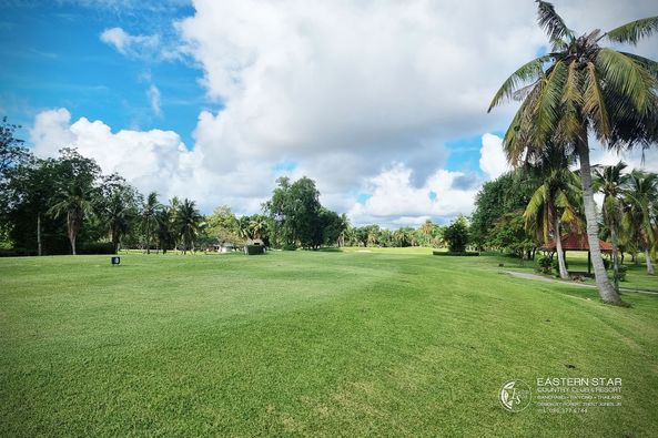 Eastern Star Country Club amp Resort grass and tree