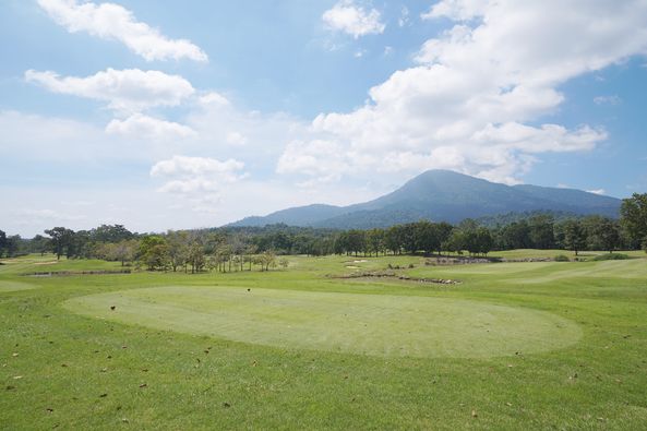 nature golf course and grass