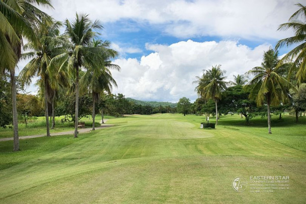 nature sky palm trees grass and golf course