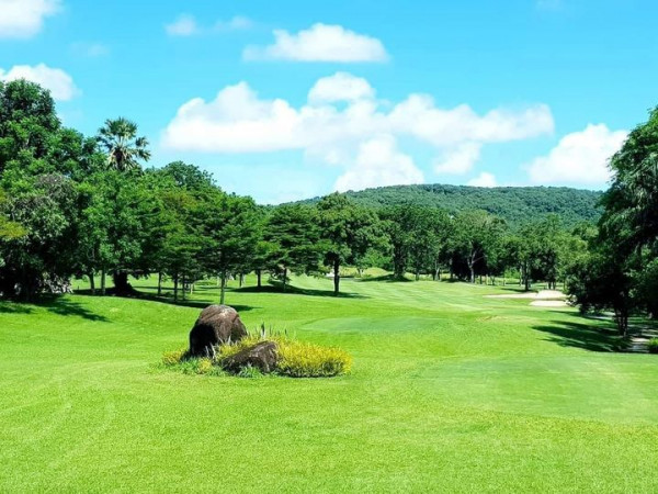 grass nature tree and golf course