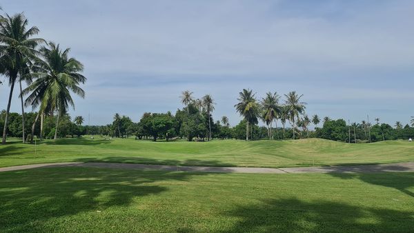 nature golf course and grass