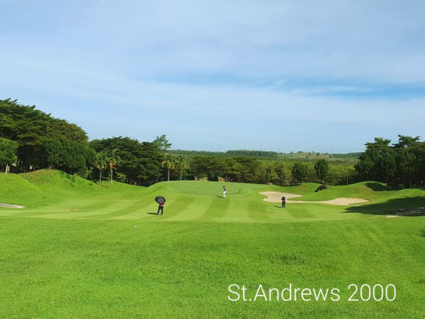 3 people golf course grass and St Andrews 2000