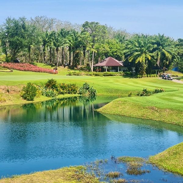 Blue Canyon Country Club golf course nature grass and tree