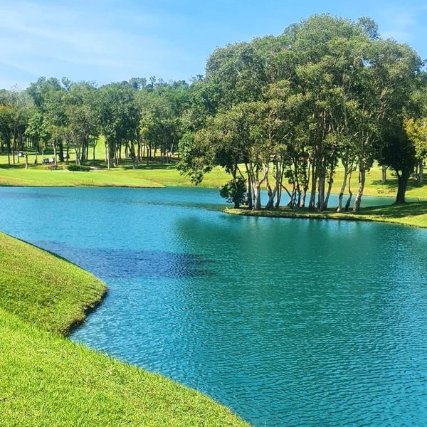 Blue Canyon Country Club tree lake golf course nature and grass