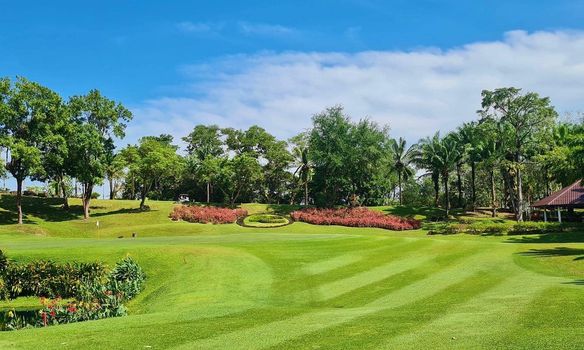 Blue Canyon Country Club golf course grass and nature