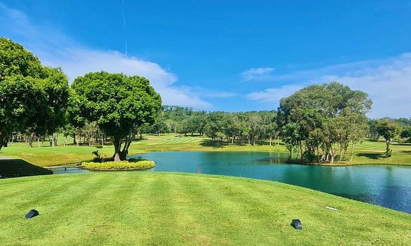 Blue Canyon Country Club grass nature golf course and tree