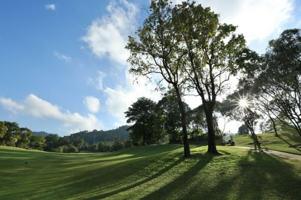 Red Mountain Golf Club Phuket Thailand tree nature and grass