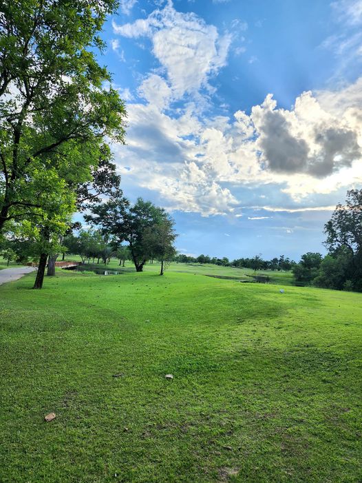 Dancoon Golf Club golf grass tree and golf course