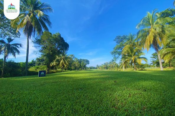 Victory Park Golf amp Country Club nbsp grass golf course and tree