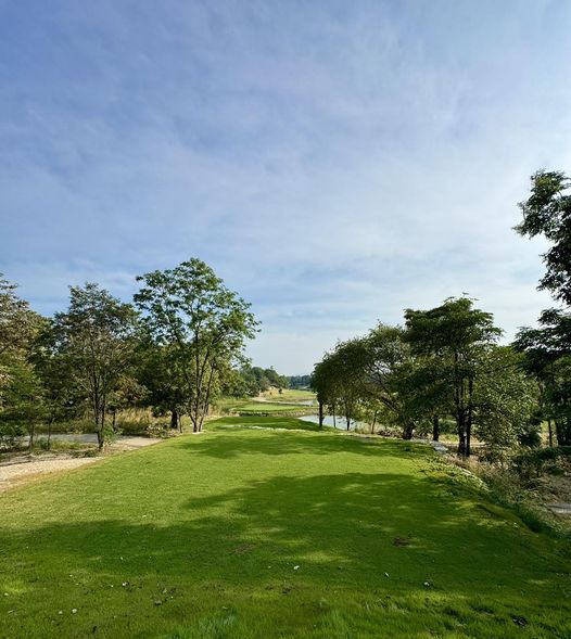 Blue Sapphire Golf and Resort nbsp tree and grass