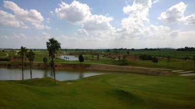 Blue Star Golf Course Project